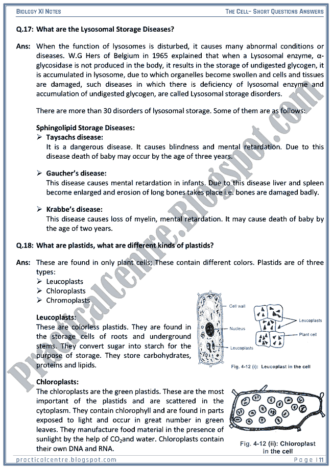 The Cell - Short Questions Answers - Biology XI