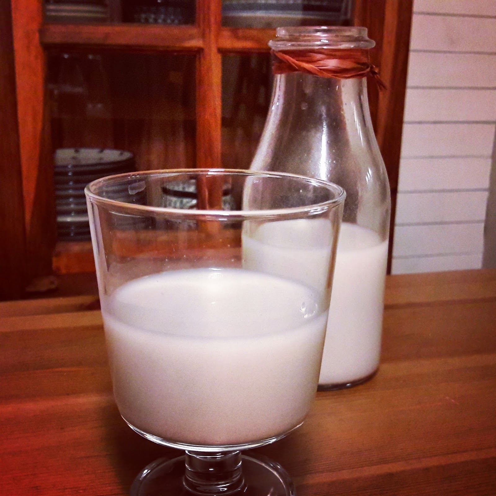 Dr.Mossylawn DIY vegan food blog not only for vegans Poppy seed milk