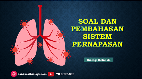 Soal Ujian Ulangan Tentang Sistem Pernapasan Beserta Pembahasan Materi Biologi Kelas Xi Bsb Soal Ujian Ulangan Tentang Sistem Pernapasan Beserta Pembahasan Materi Biologi Kelas Xi Bsb
