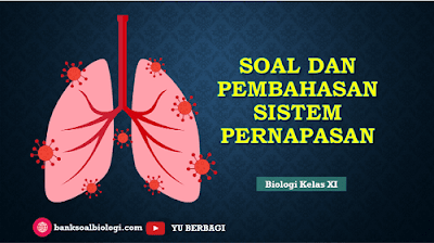 Soal Ujian / Ulangan Tentang Sistem Pernapasan Beserta Pembahasan
