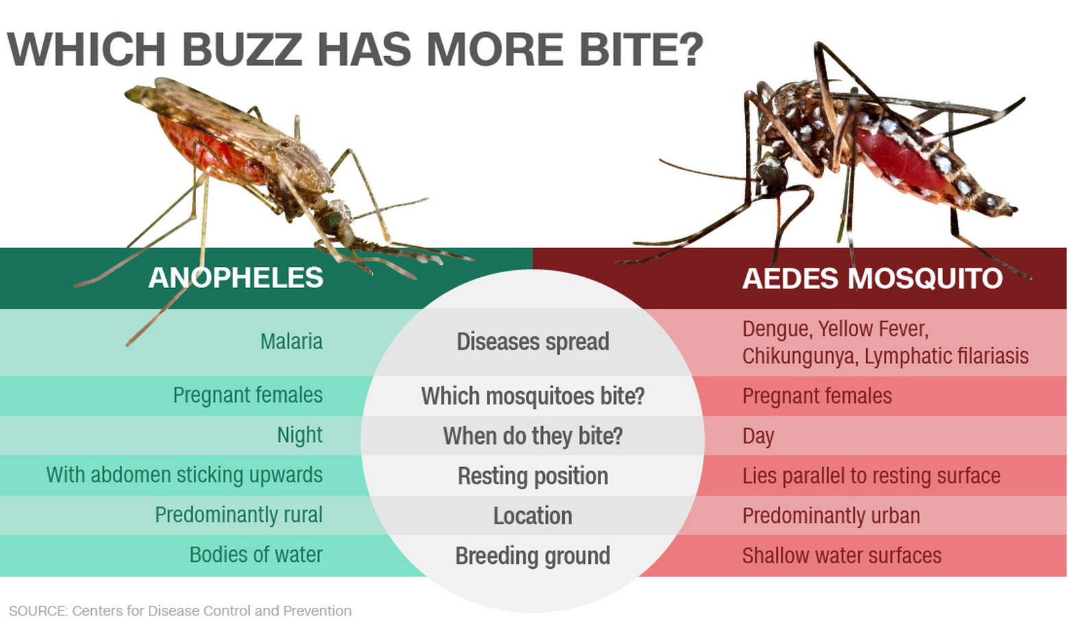Medicina y Melodía La importancia de los mosquitos