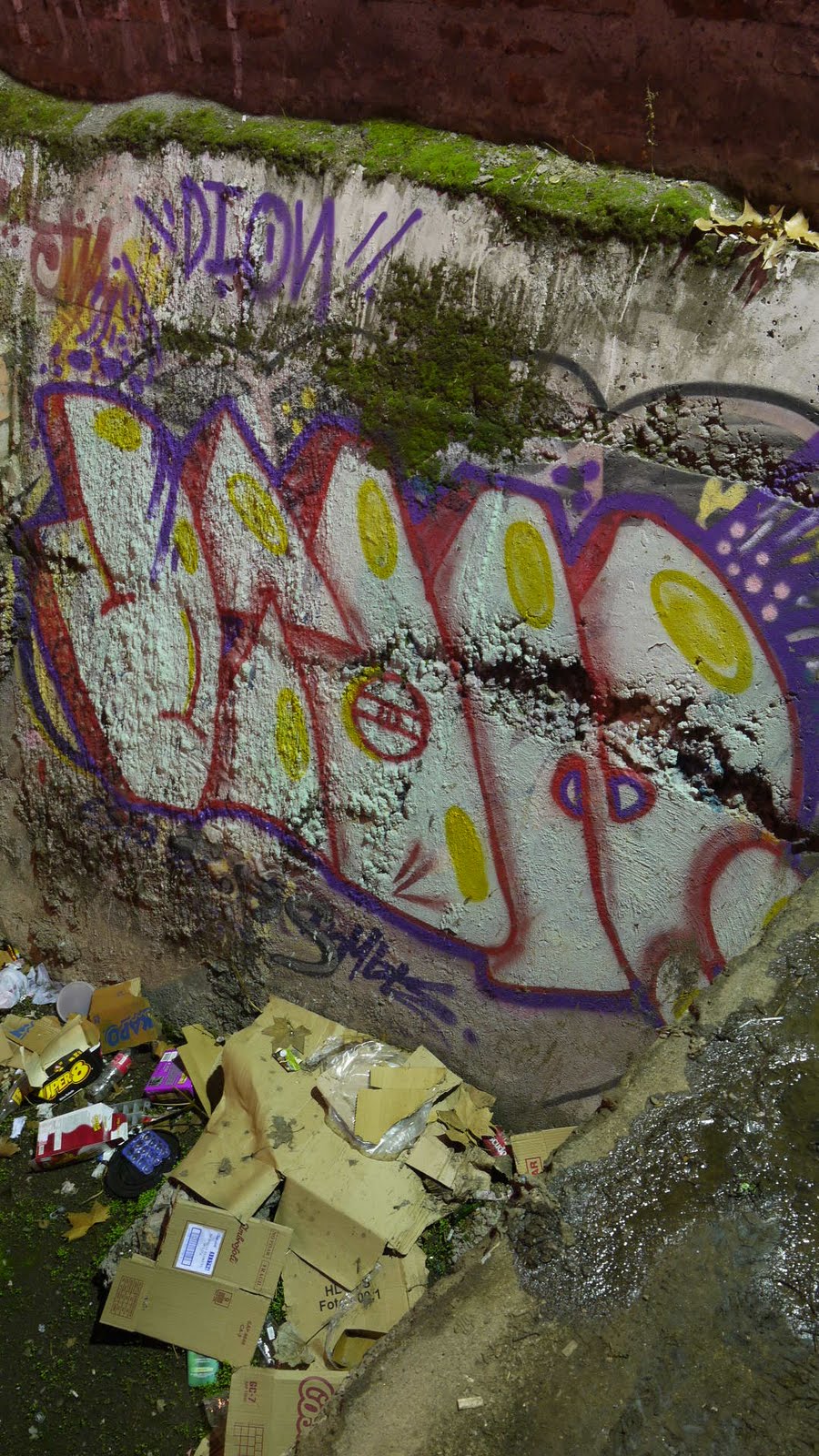 Memories and Misadventures: Chile - 25-30 July 2011