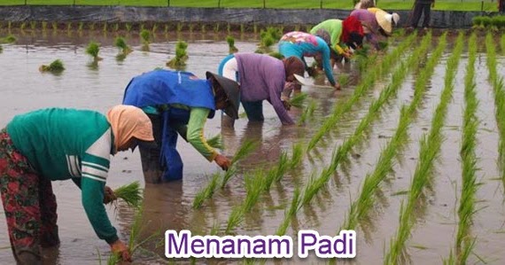 Soal Melengkapi Cerita Rumpang Kelas 2 Sd Gudang Belajar