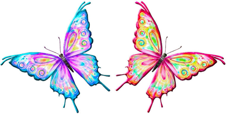 butterfly clipart gif - photo #7