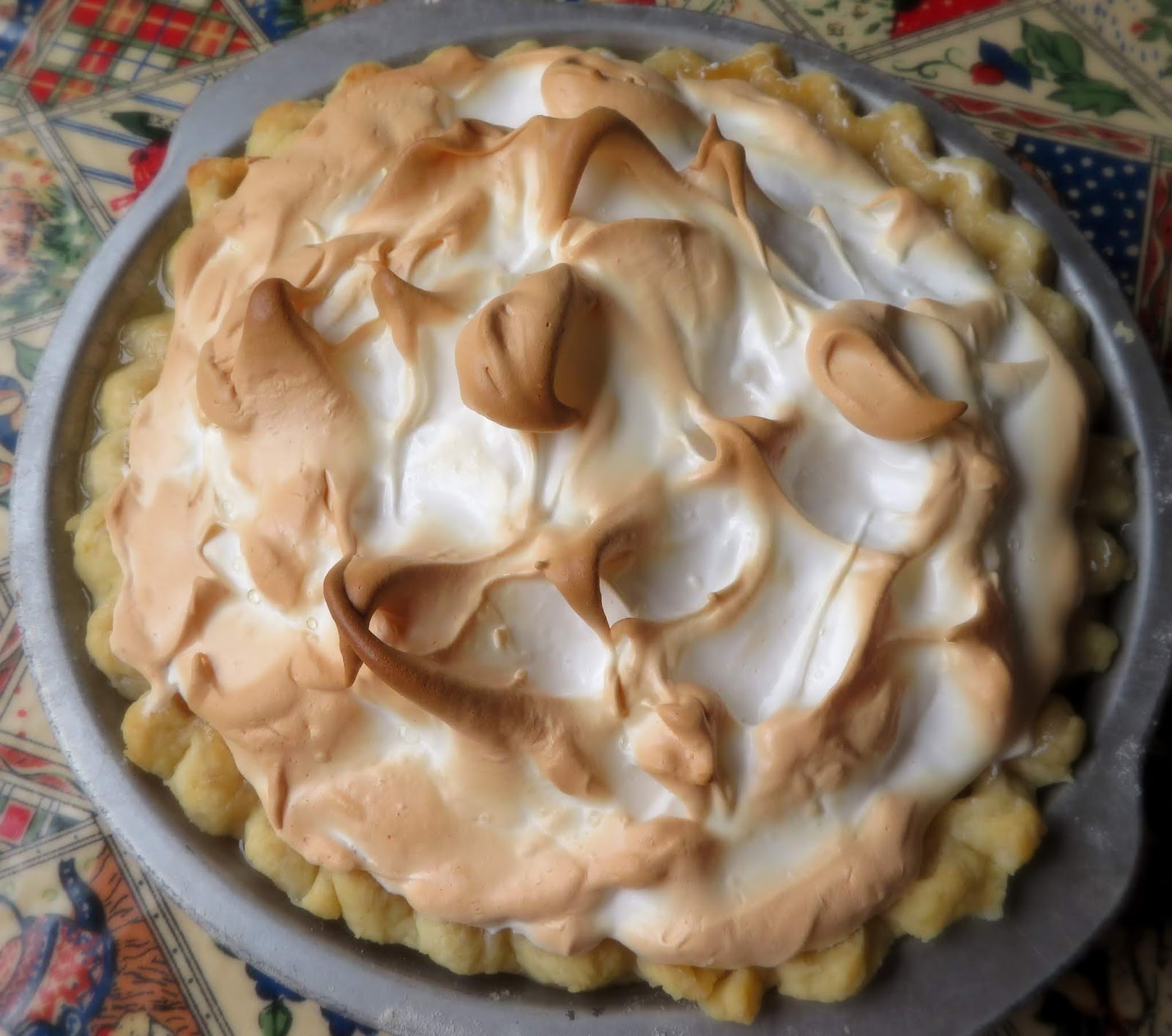 Raisin & Sour Cream Meringue Pie Catrooo