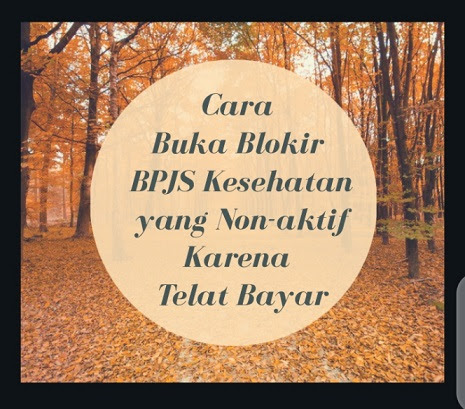 Cara Buka Blokir BPJS Kesehatan yang Nonaktif Karena Terlambat Bayar