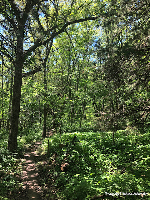 platte river state park bike trails