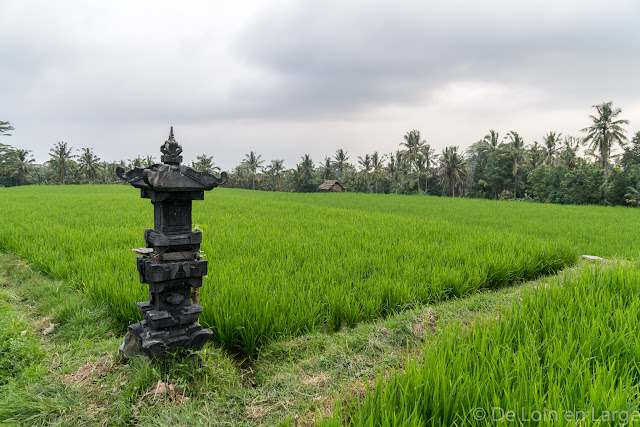 Campuhan - Ubud - Bali