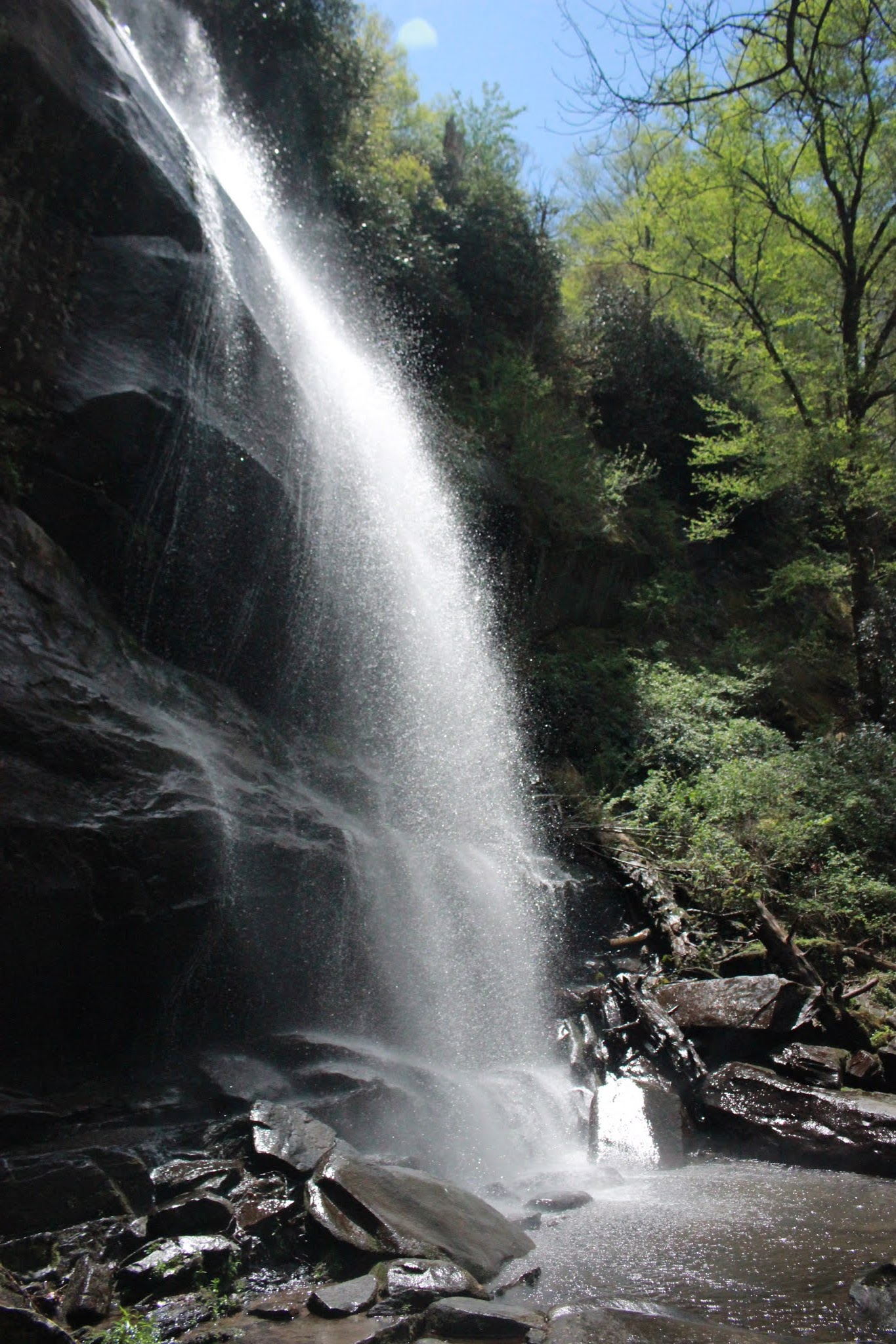 Cumberland Gal Cherohala Skyway Hiking Wildflowers & Falls Branch Falls