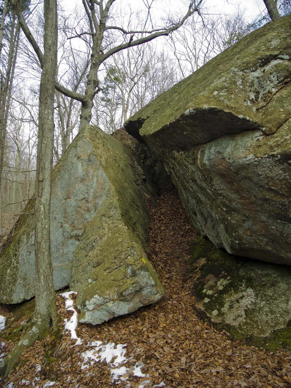 Connecticut Explorer Hiking the Westwoods Land Trust in Guilford CT