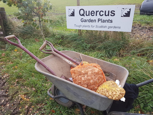Bulb planting season! Bulb planting season!