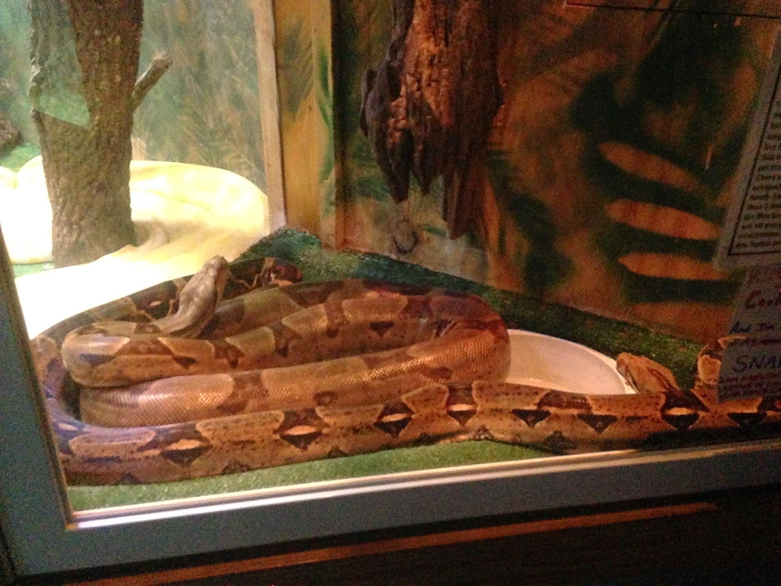 ZooZooReview: Tarpon Springs Aquarium