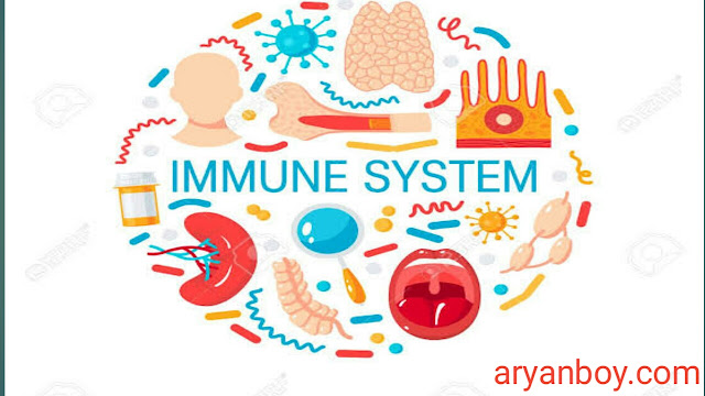 immunity badhane ke liye gharelu nuskhe