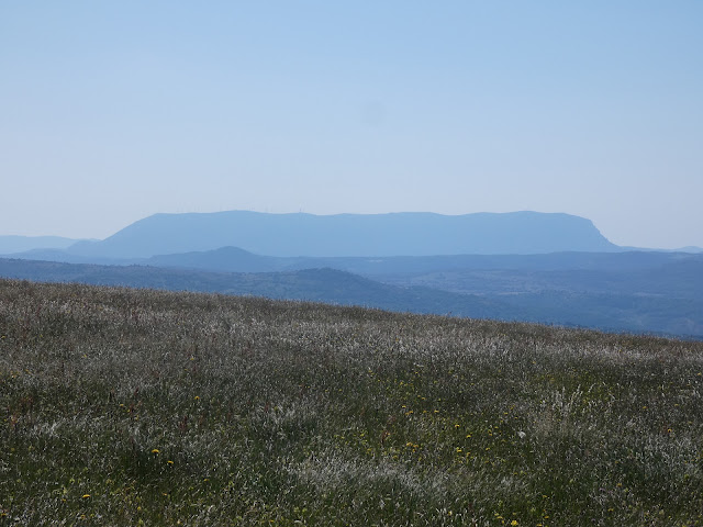 Le mont Tauch hérissé d'éoliennes.