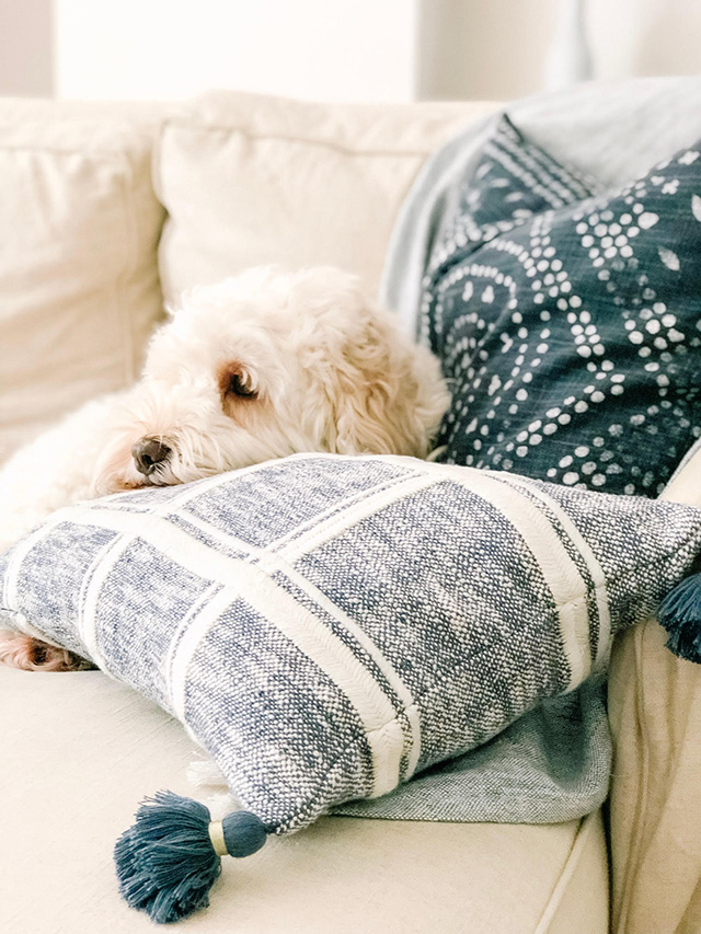 A Puppy & His Pillows (new pillows for fall!) Michaela Noelle Designs