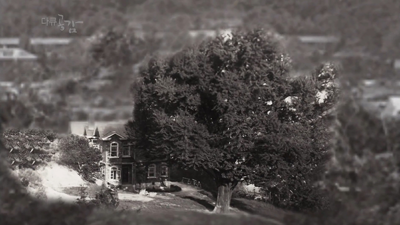 %25EC%2584%259C%25EC%259A%25B8%2B%25ED%2