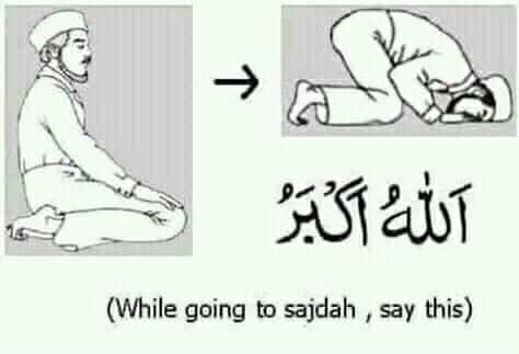 الصلاة وأركانها التكبير قبل السجود إسلام نا عز نا