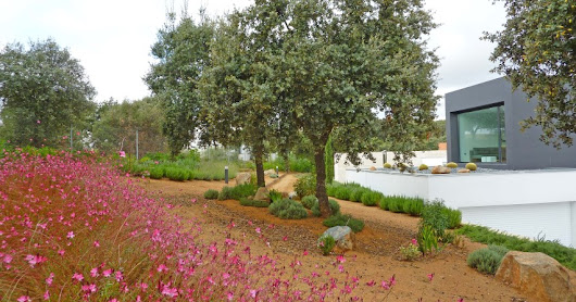 Jardinería y Paisajismo - Google+