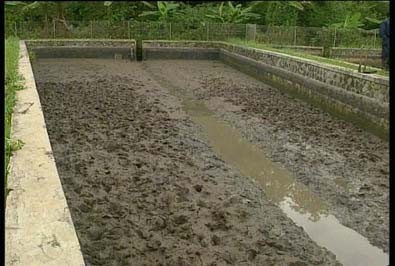 Gambar Kolam semiintensif Gambar Kolam semiintensif
