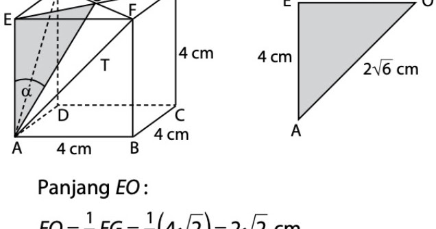 Kubus Abcd Efgh Memiliki Rusuk 4 Cm Sudut Antara Ae Dan Bidang Afh Adalah A Nilai Sin A Mas Dayat Kubus Abcd Efgh Memiliki Rusuk 4 Cm Sudut Antara Ae Dan Bidang Afh Adalah A Nilai Sin A Mas Dayat