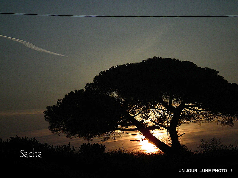 Un jour....Une photo ! Un si long chemin...........