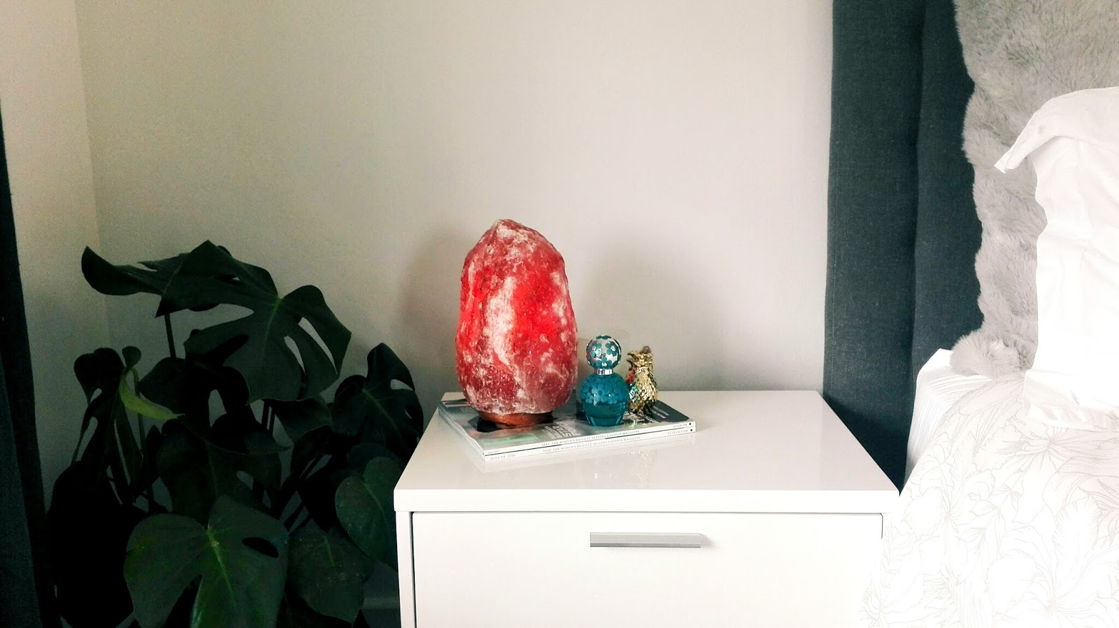 HOME // HIMALAYAN PINK SALT ROCK LAMPS