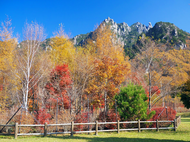 瑞牆山　みずがき山自然公園　紅葉