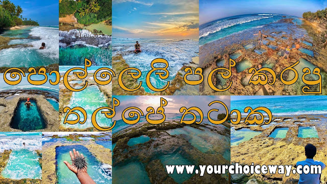 පොල්ලෙලි පල් කරපු - තල්පේ තටාක 🌴🥥🌊🏊🏻‍♂️ (The rock pools in Thalpe) - Your Choice Way