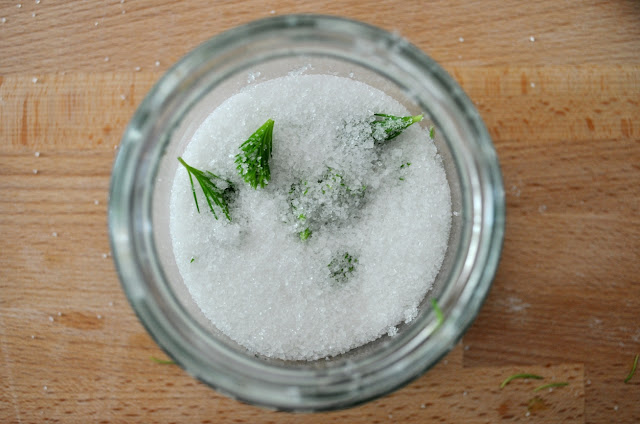 Syrop z pędów świerku - pędy w słoiku