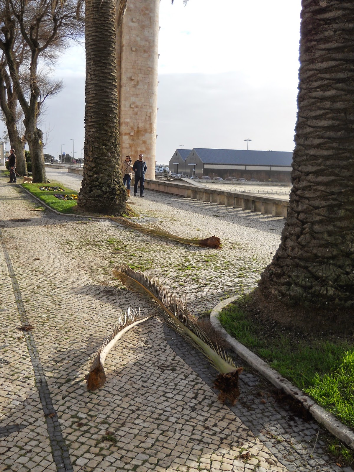 O Palhetas na Foz Passeio da Avenida 25 de Abril (1) perigoso