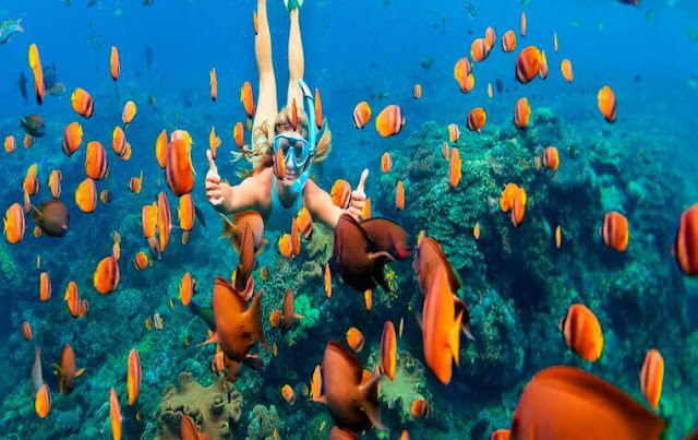 Snorkeling Pelican Rock Arch of Cabo San Lucas
