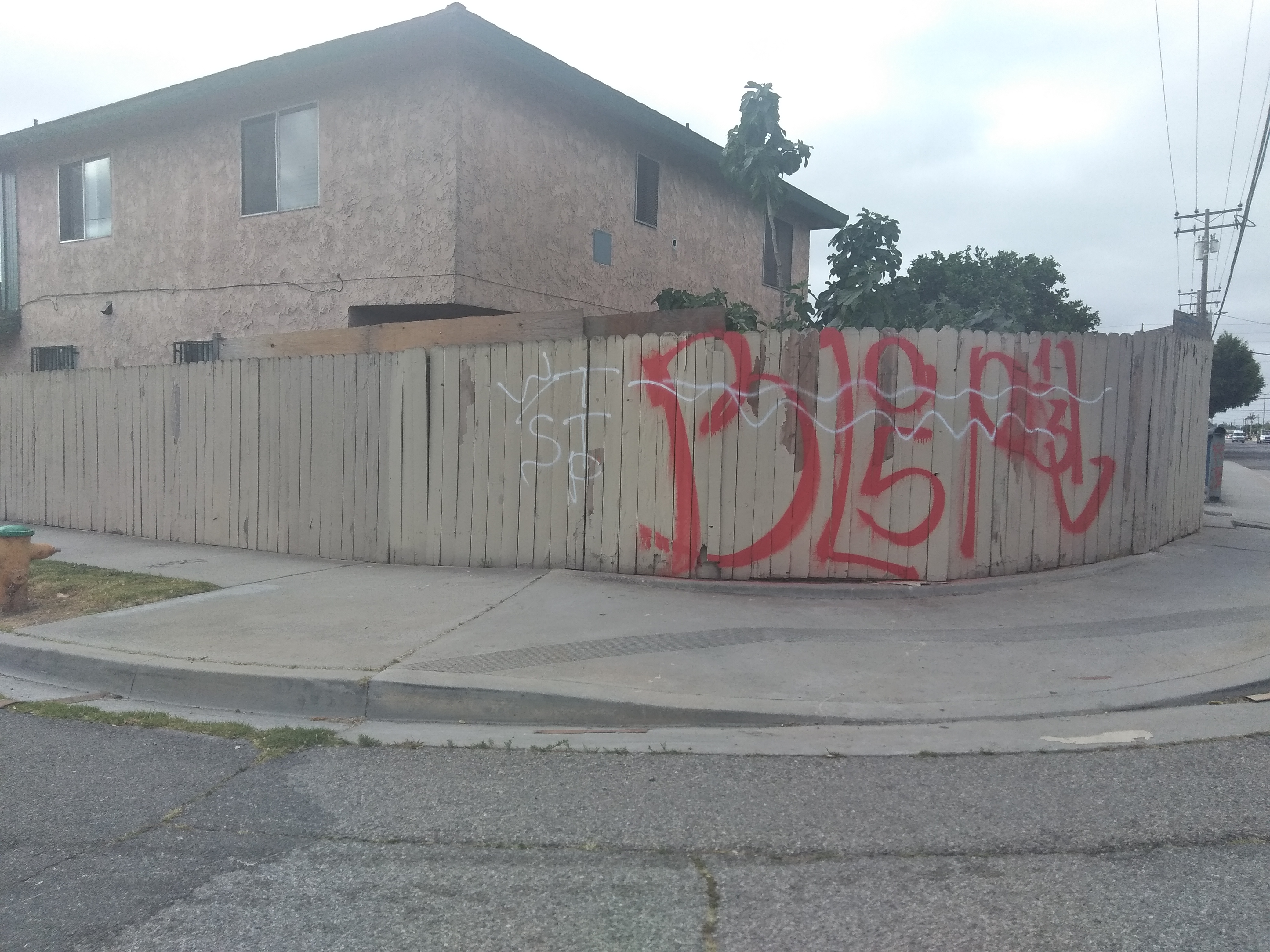 Piru Blood Signs