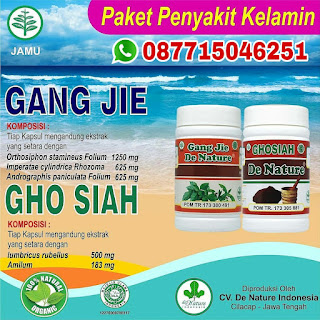 Manfaat Gang Jie Gho Siah Obat Untuk Kencing Nanah Paling Ampuh Di Apotik