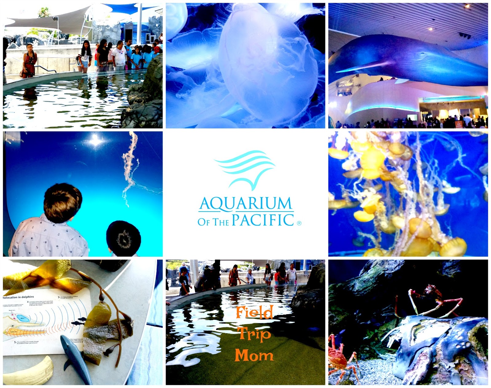 field-trip-mom-winter-field-trip-ideas