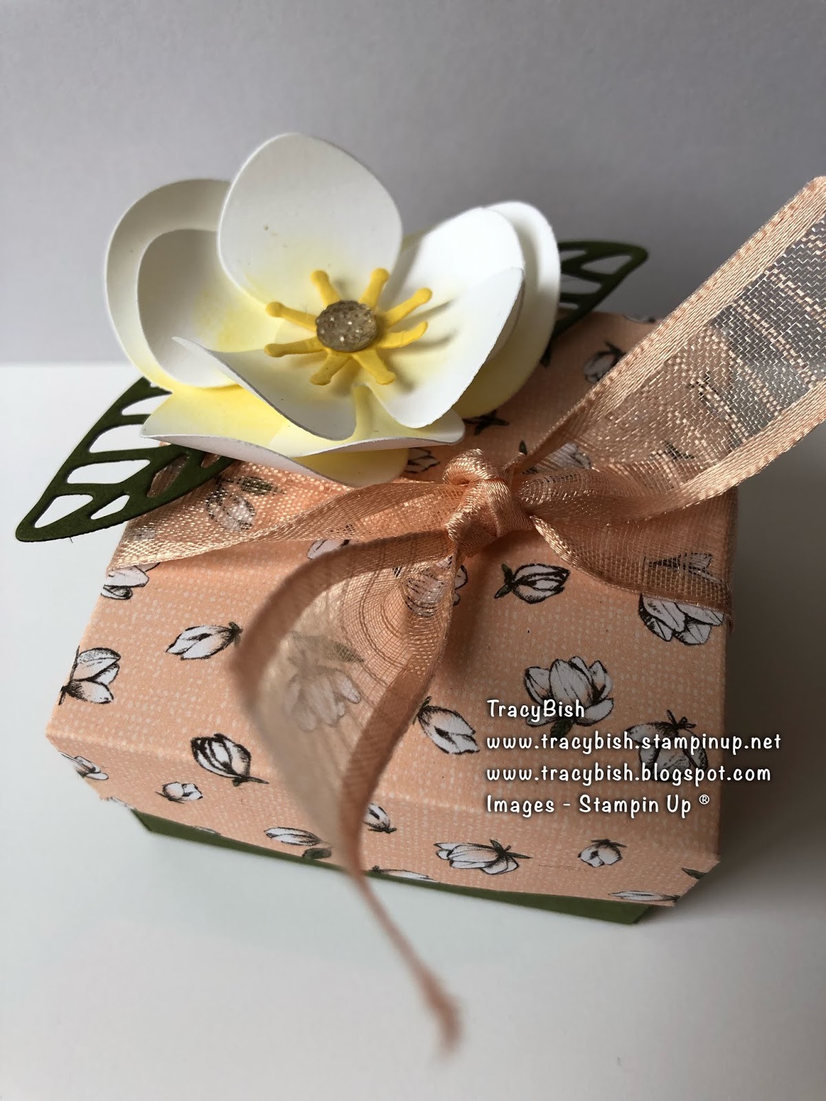 Stampin Up's Magnolia Lane Gift Box Tracy Bish