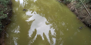 Diprotes Soal Limbah, PT Medco E&P Malaka Diduga Alihkan Isu dengan Pencitraan Melalui LKJ November 26, 2020