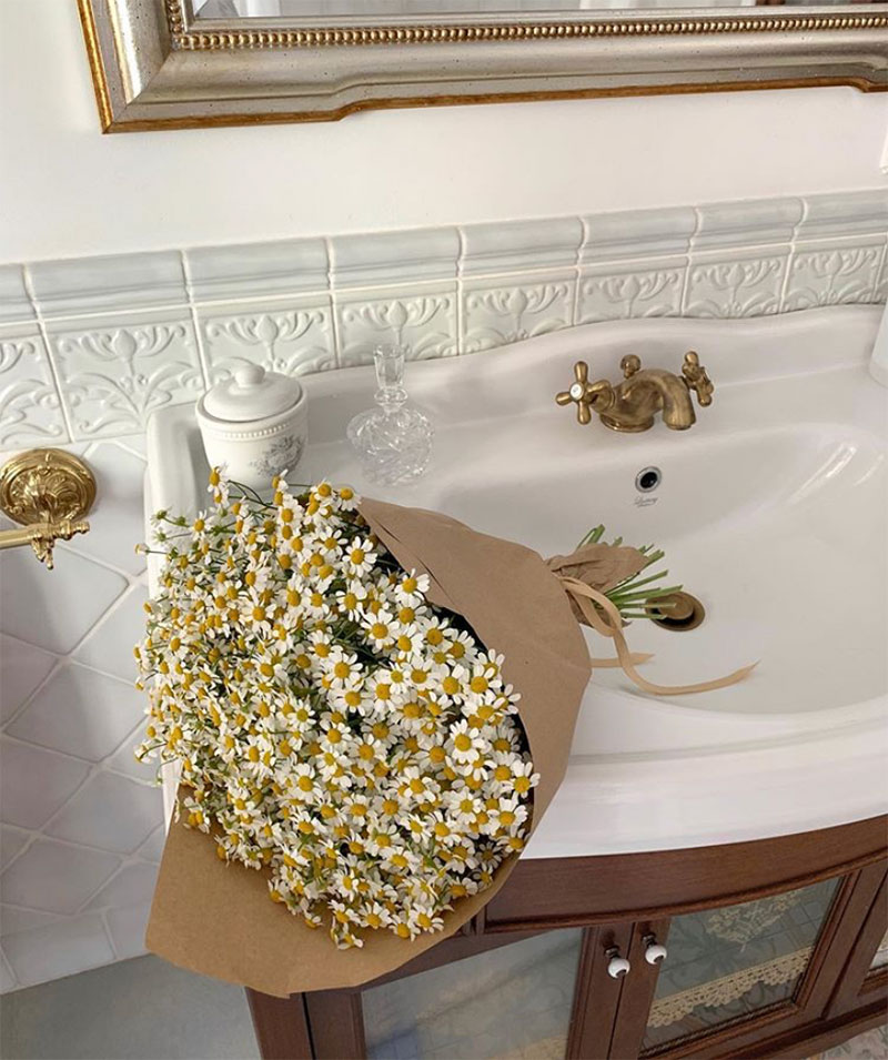 Compilation | Late-Spring Inspiration: Coming Up Daisies