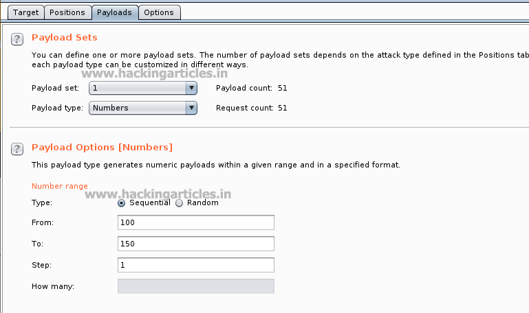Burp Suite Payloads Beginner's Guide Part 1