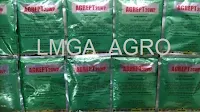 melon elegan, budidaya melon, jual benih hibrida, jual benih tunas agro, toko pertanian, toko online, lmga agro