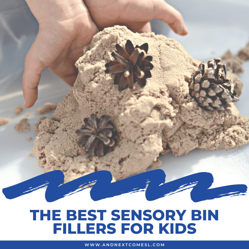 The Best Sensory Bin Fillers for Kids And Next Comes L Hyperlexia