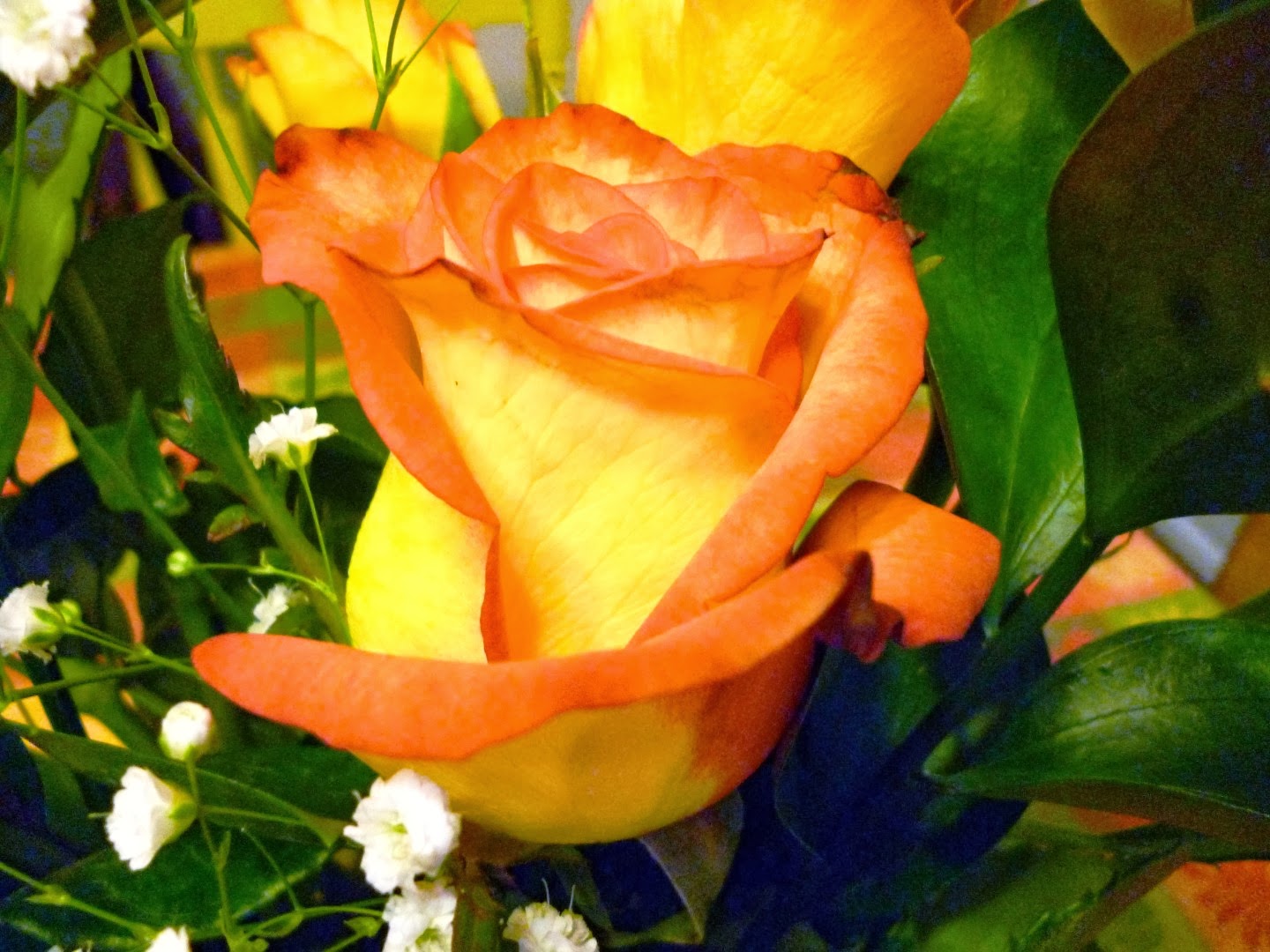 Writing Straight from the Heart Fabulous Fall Roses