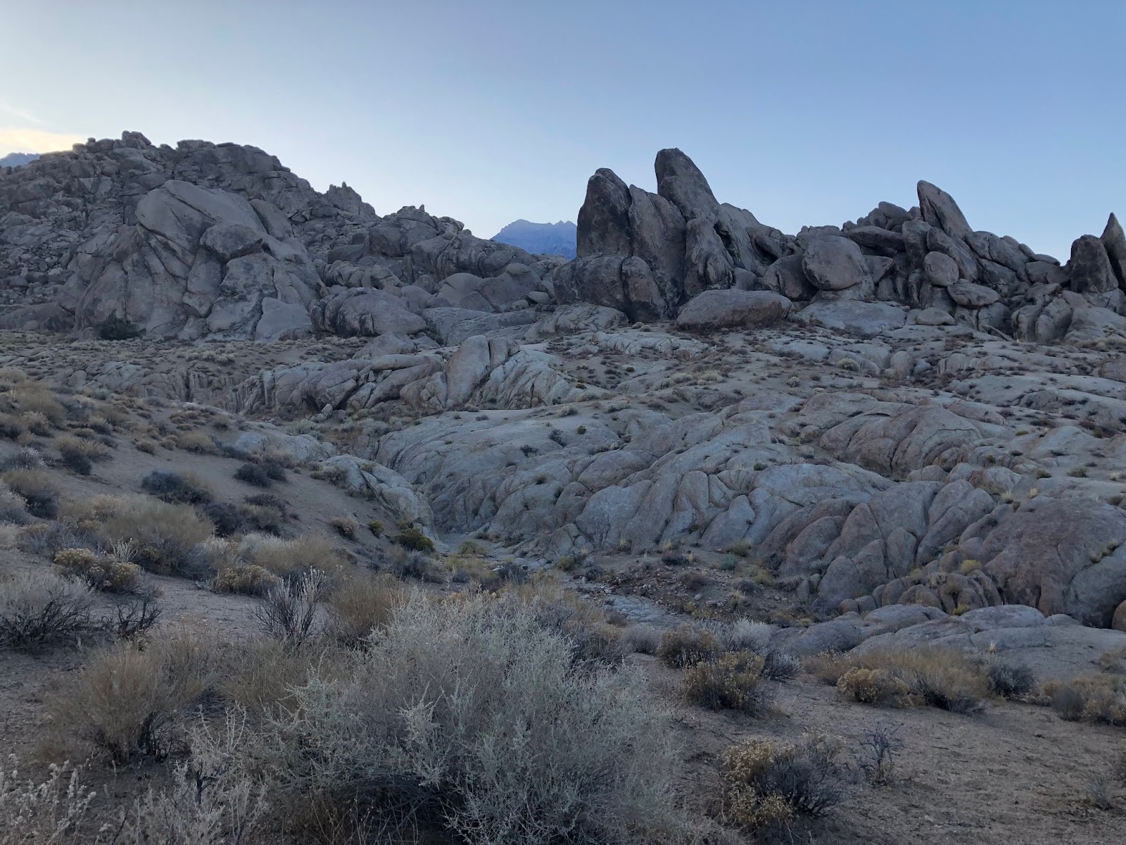 Laura's Miscellaneous Musings The Lone Pine Film Festival Bad Day at