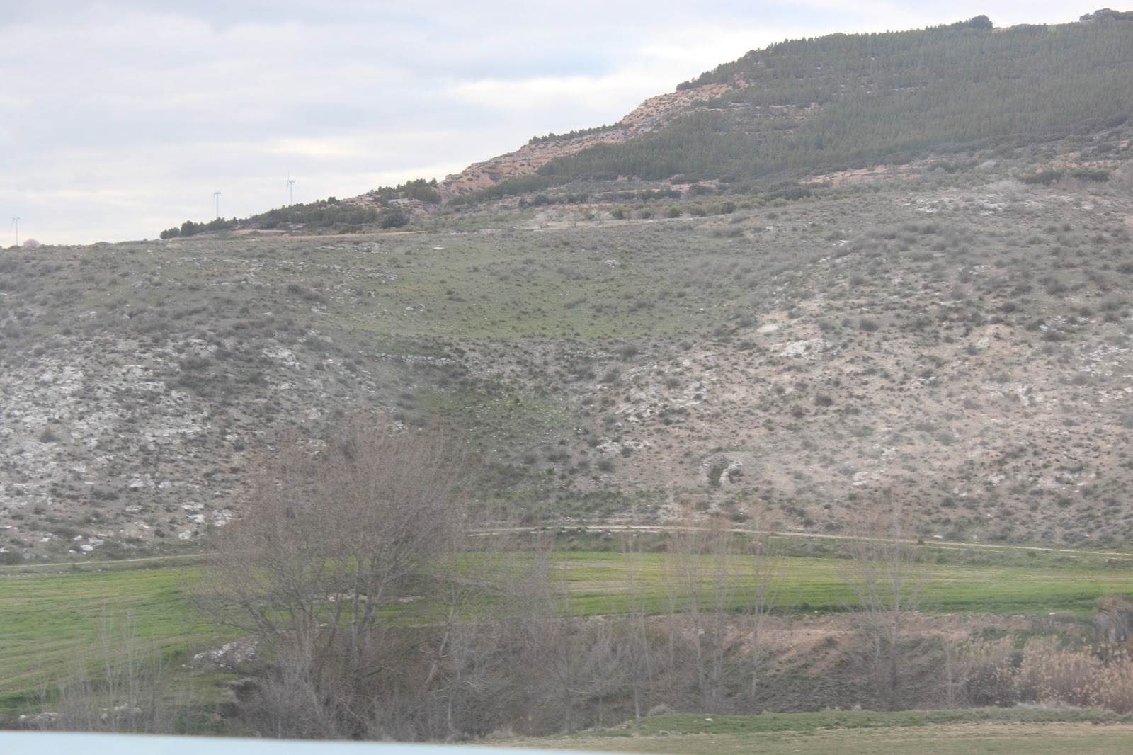 Historia y Genealogía Tinajas. Cuenca