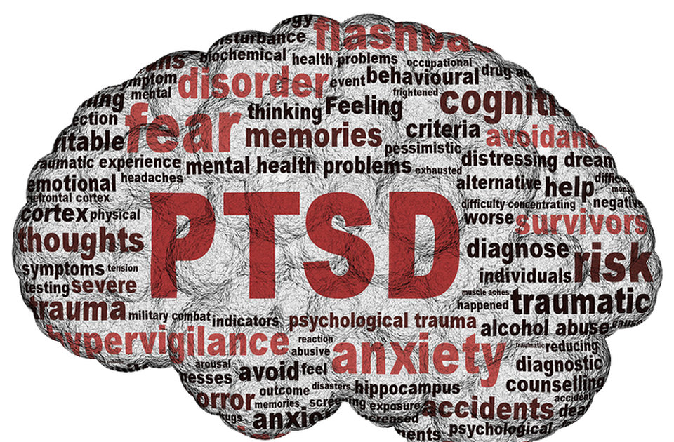 сексист персон. Feel able. безумие текст. Feel able. , able слушать.