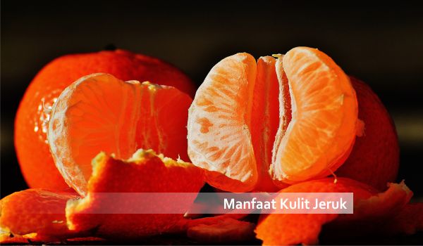 citrus mosquito repellent Orange peels as mosquito repellents