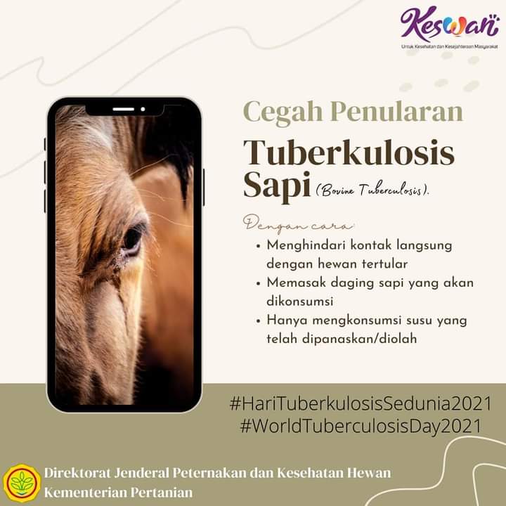 KHAIRUL RIZAL DVM: Tuberculosis Sapi ( Bovine Tuberculosis)