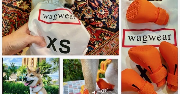 wagwear dog boots
