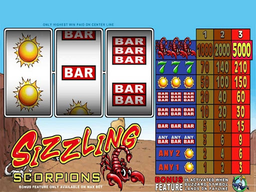 Biggest online casino win