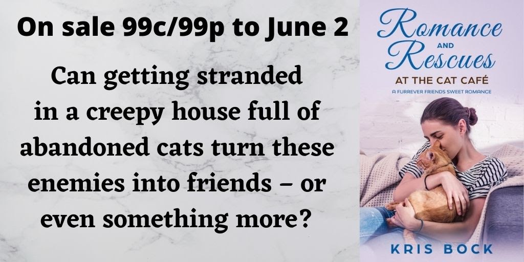 Get a sweet enemies to lovers romance with cat rescue for only 99 cents! #romance #SweetRomance #ContemporaryRomance