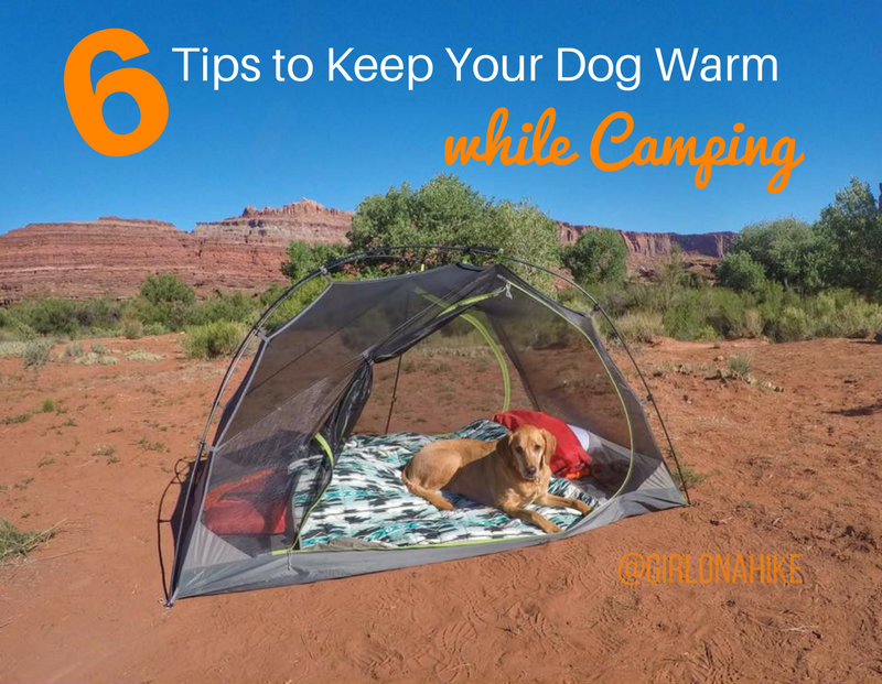 6 Tips to Keep Your Dog Warm while Camping Girl on a Hike
